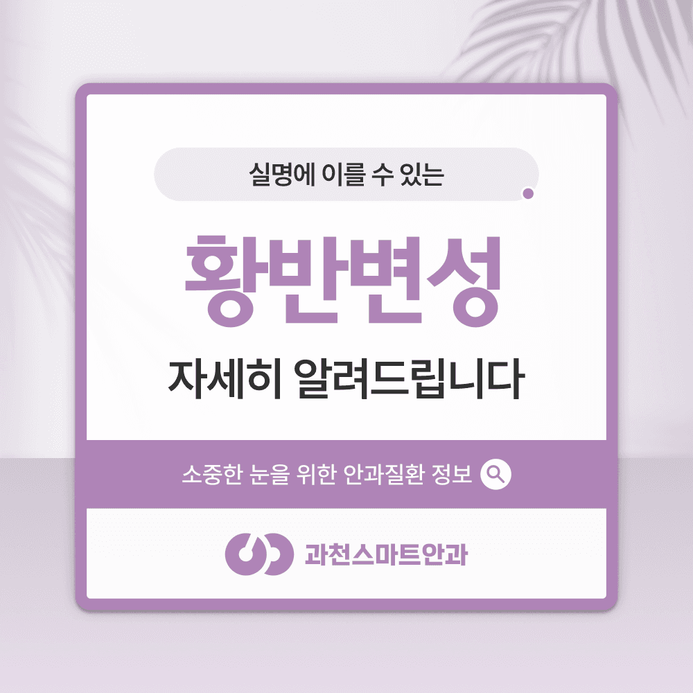 과천황반변성 초기 신호와 검사·치료 4단계