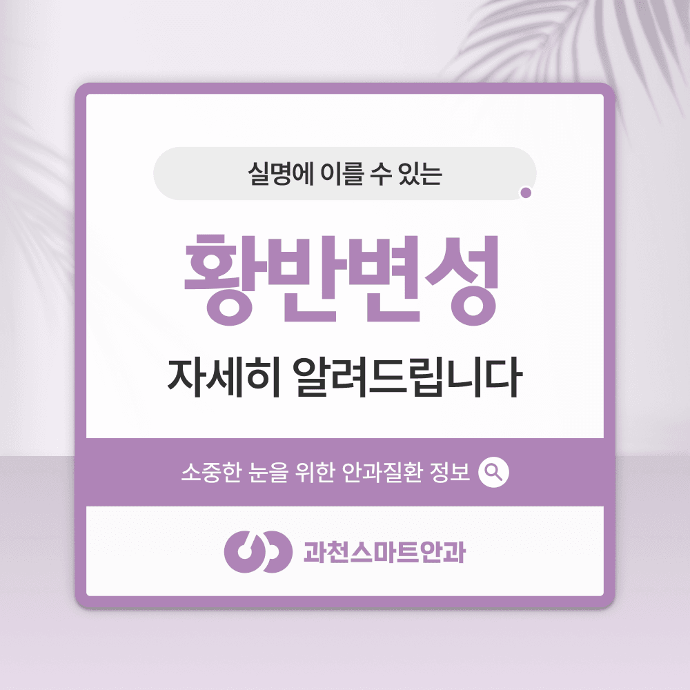 과천황반변성 초기 신호와 검사·치료 4단계
