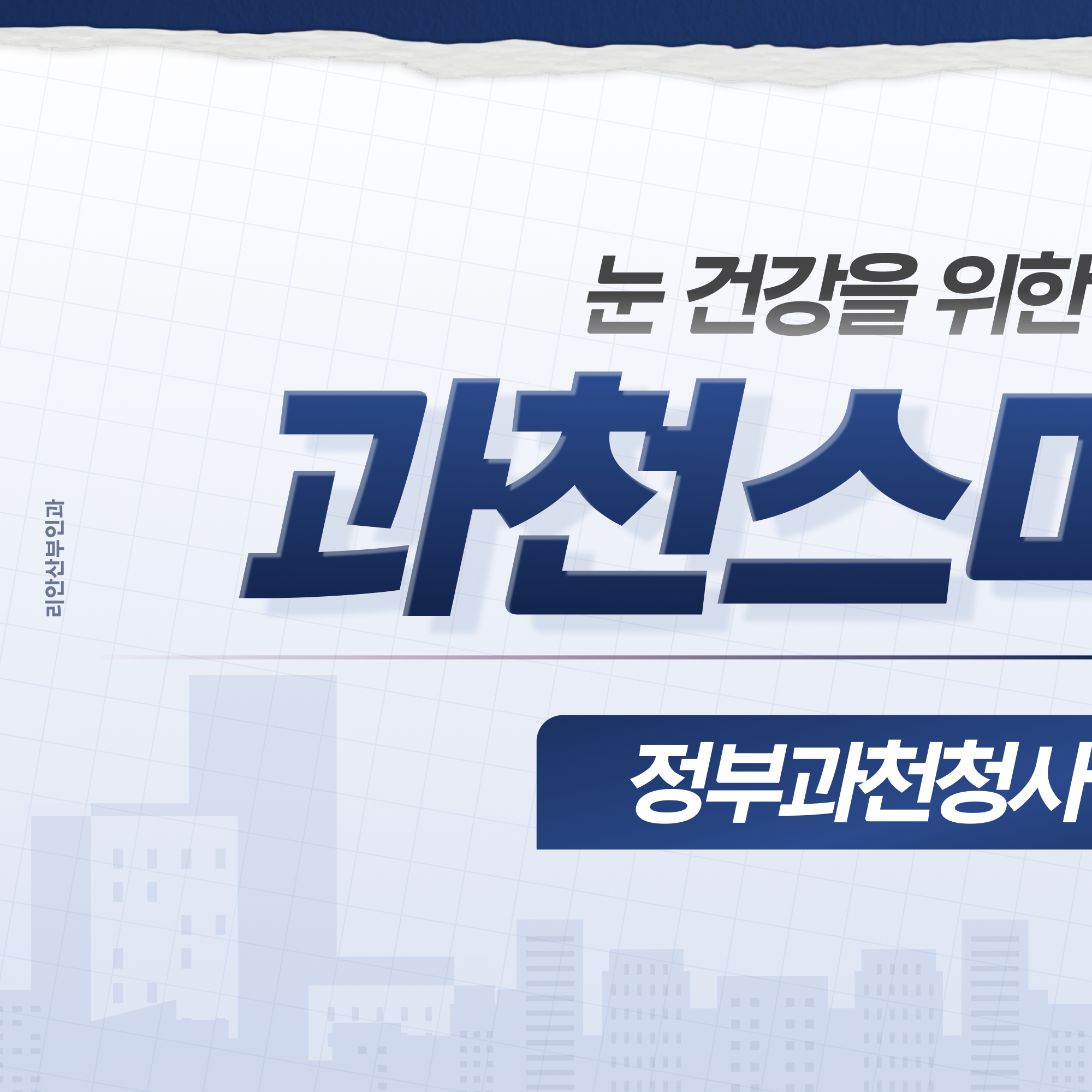 과천비문증 증상 설명 이미지